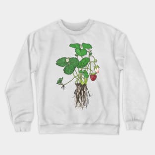 All steps do Strawberry lifecycle Crewneck Sweatshirt